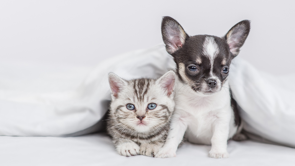 エアコンフィンにほこりが付きにくくなります